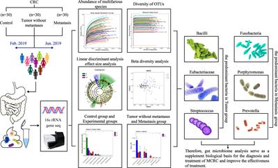 The difference of human gut microbiome in colorectal cancer with and without metastases